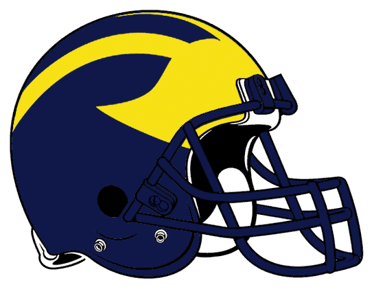 Delaware Blue Hens 1984-2003 Helmet Logo Print Decal